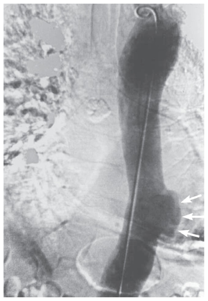 Figure 8