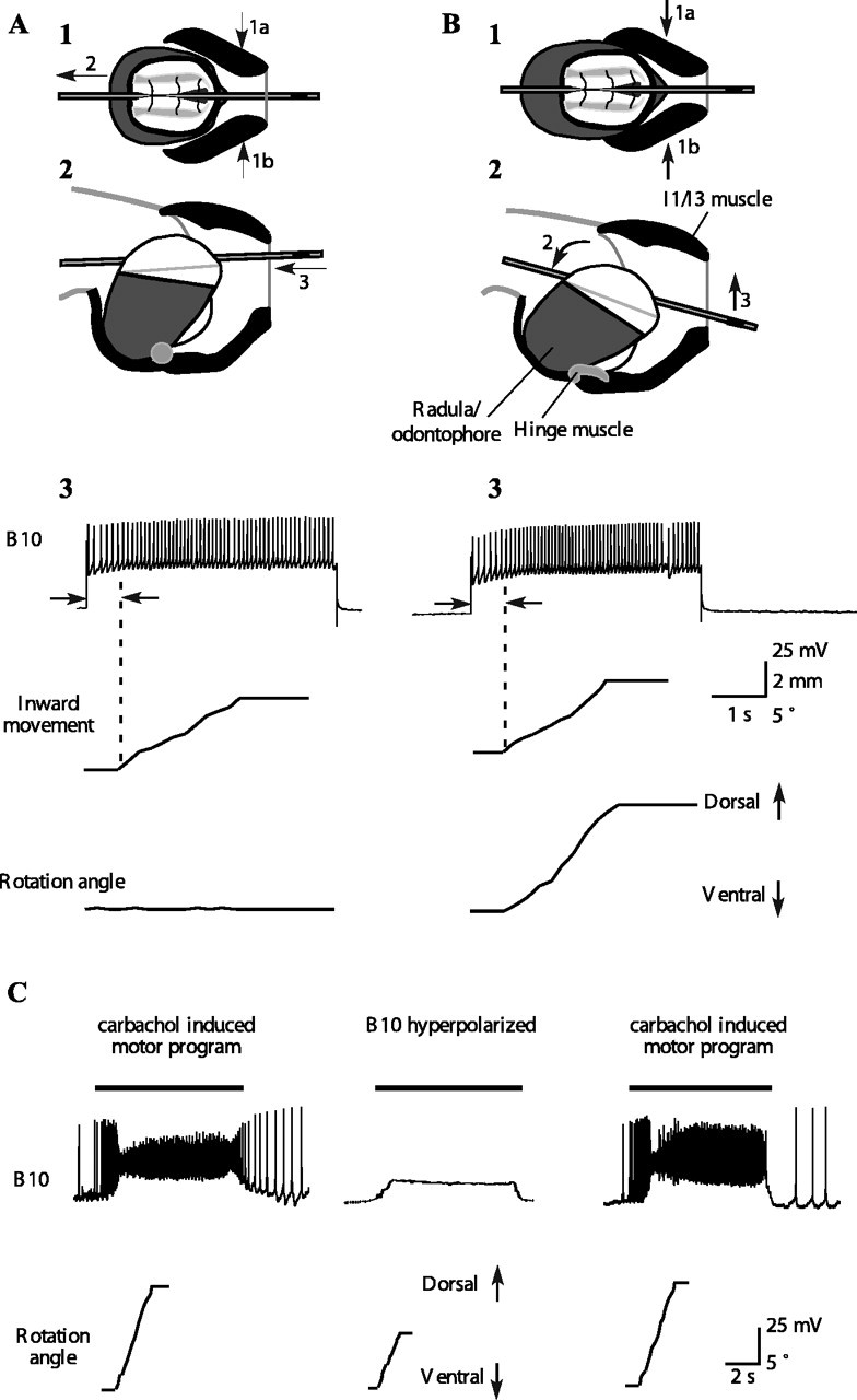 Figure 8.