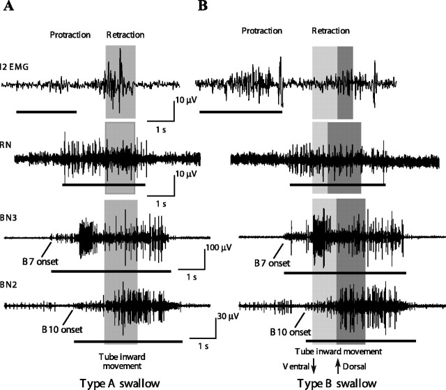 Figure 10.