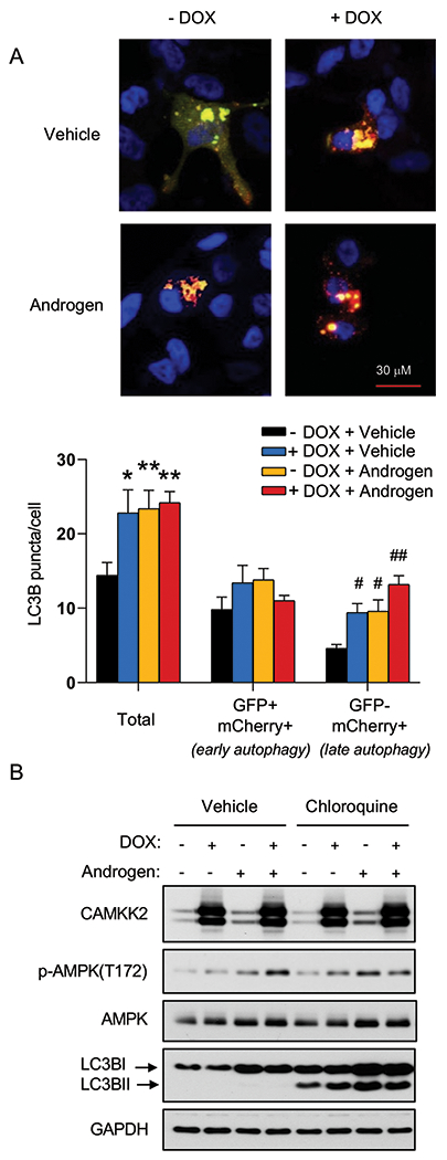 Fig 3.