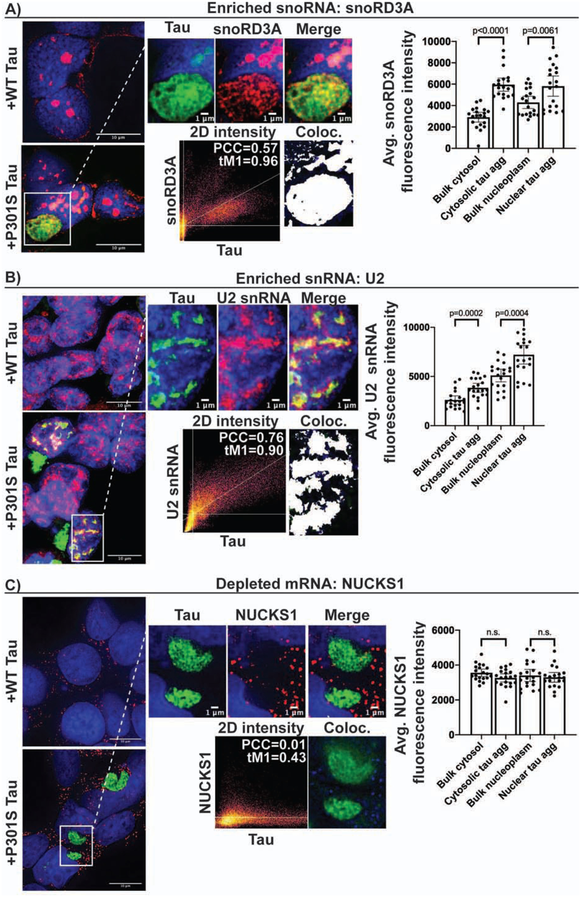 Figure 3: