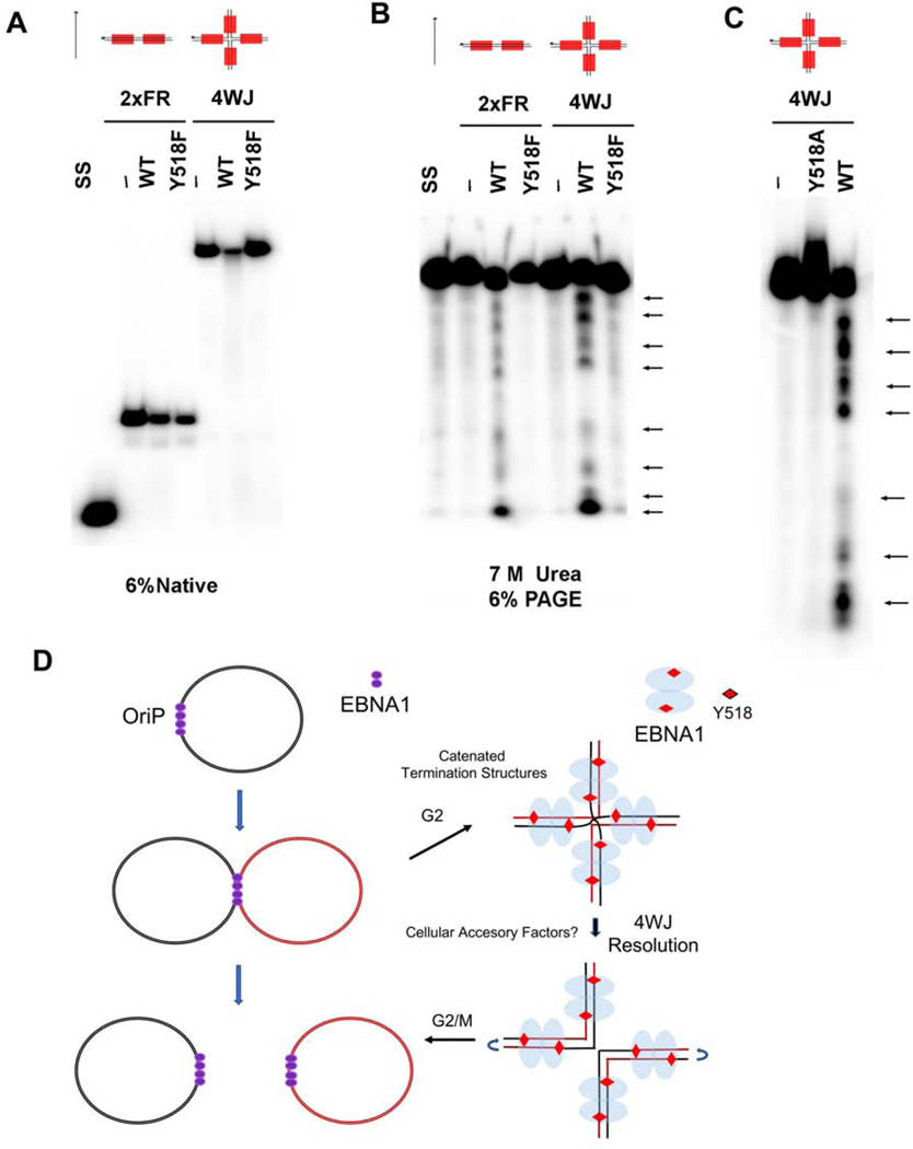 FIG. 7.