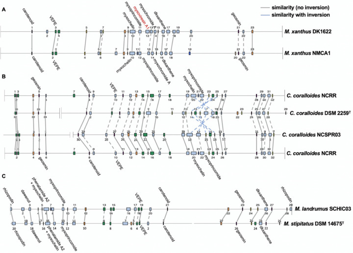 Figure 6: