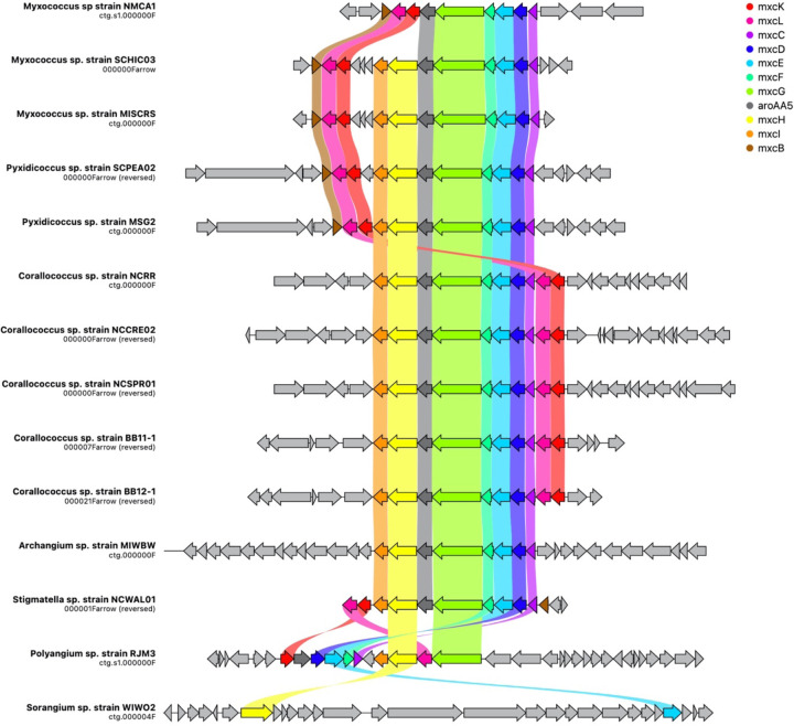 Figure 5: