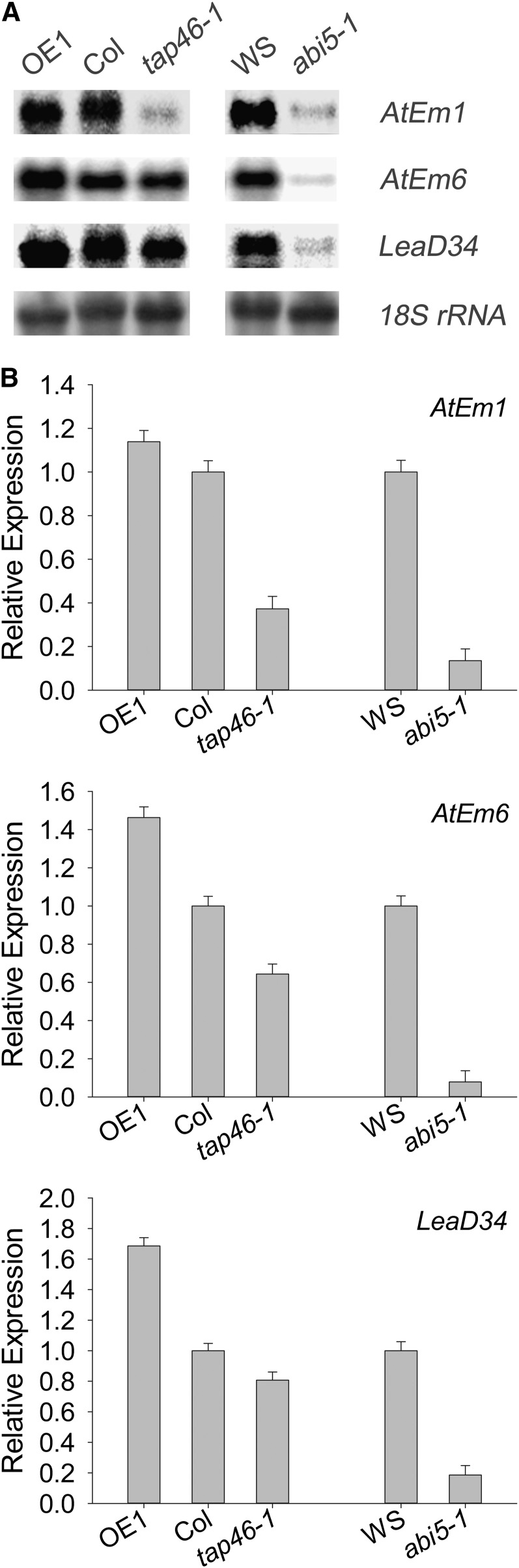 Figure 9.