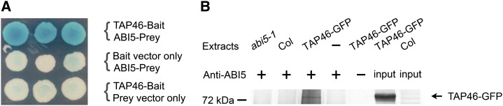 Figure 7.