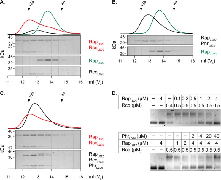 FIGURE 4.