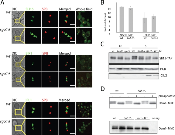 FIGURE 4: