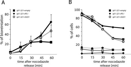 FIGURE 5: