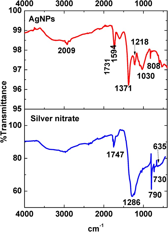 Fig. 2