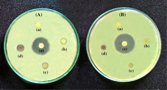 Fig. 8