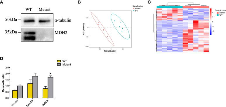 Figure 5