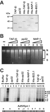 FIG. 1.