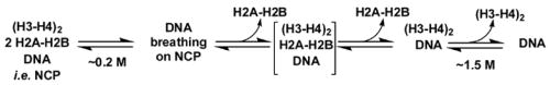 Scheme 2