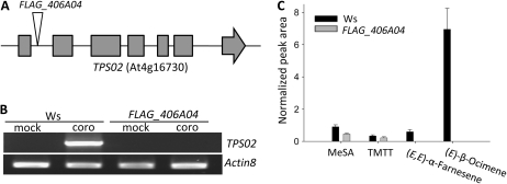 Figure 5.