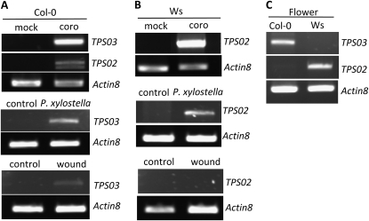 Figure 3.