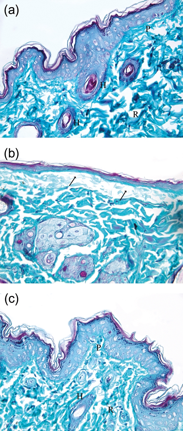 Figure 2: