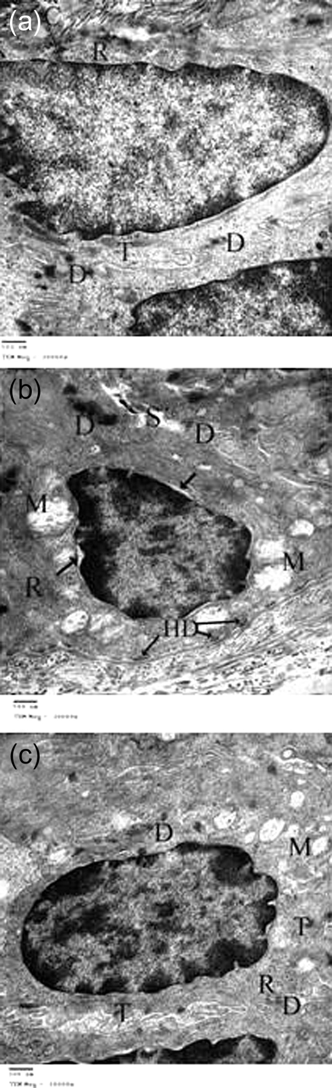 Figure 4: