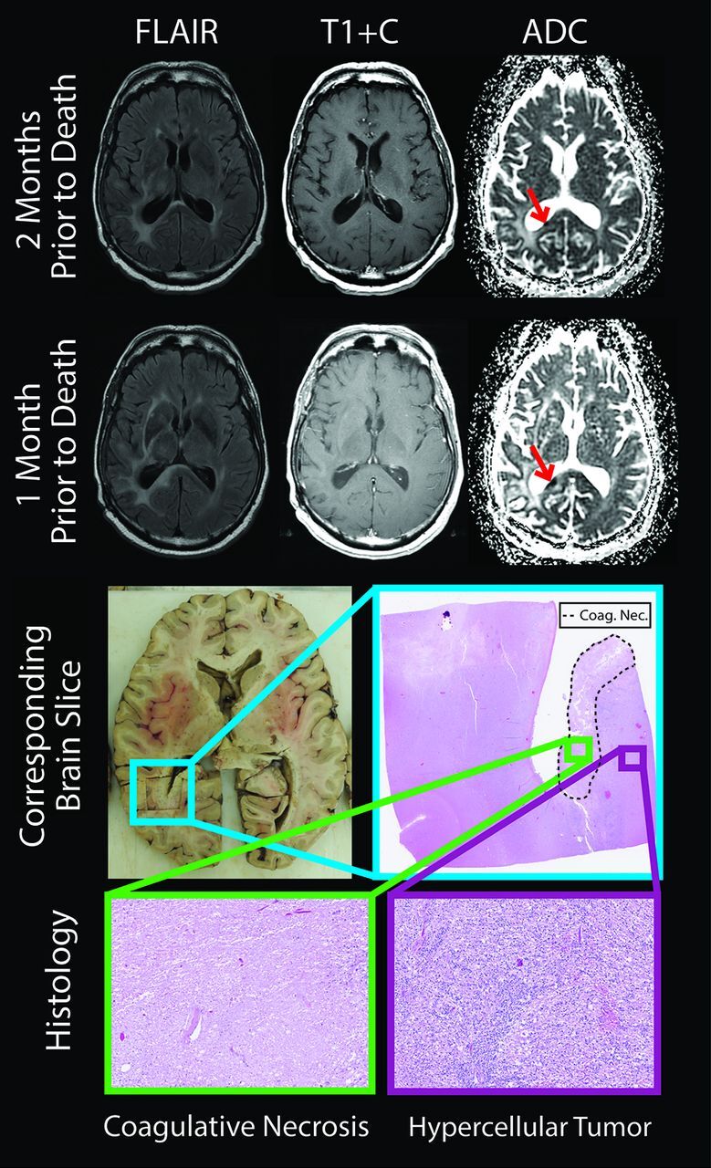 Fig 3.