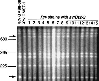 FIG. 6