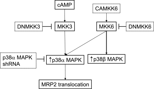 Fig. 10.