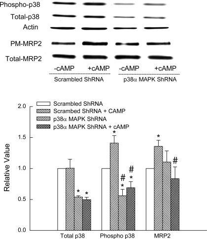 Fig. 9.