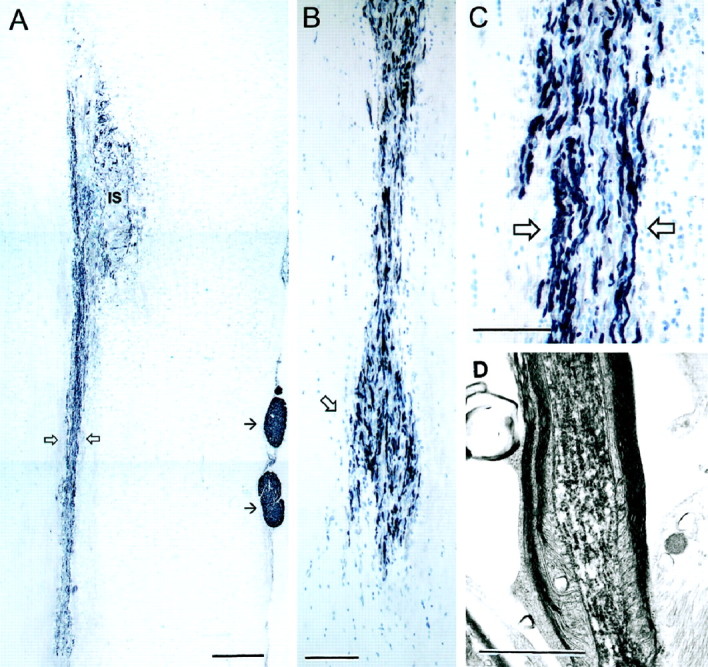 Fig. 11.