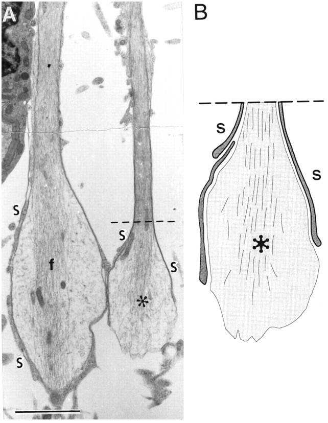 Fig. 8.