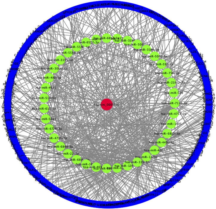 FIGURE 7