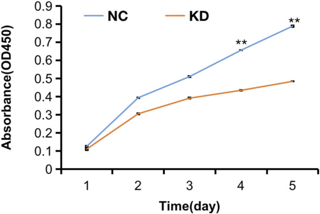 FIGURE 11