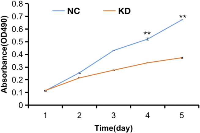 FIGURE 10