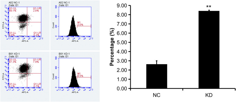 FIGURE 13