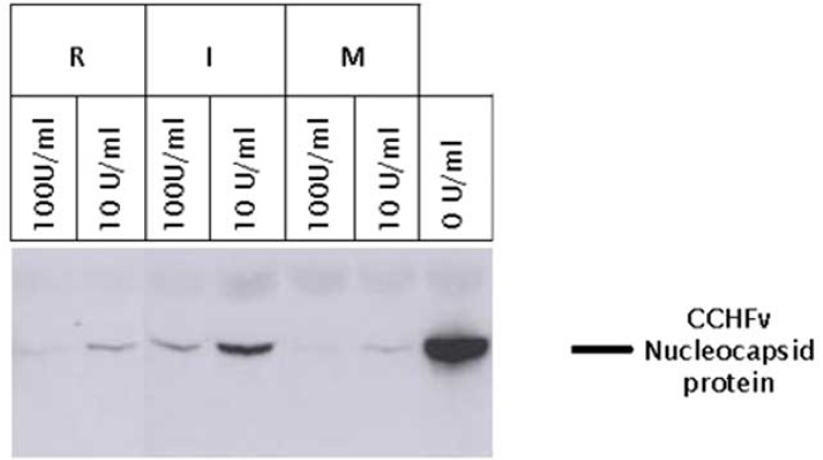 Fig. (2)