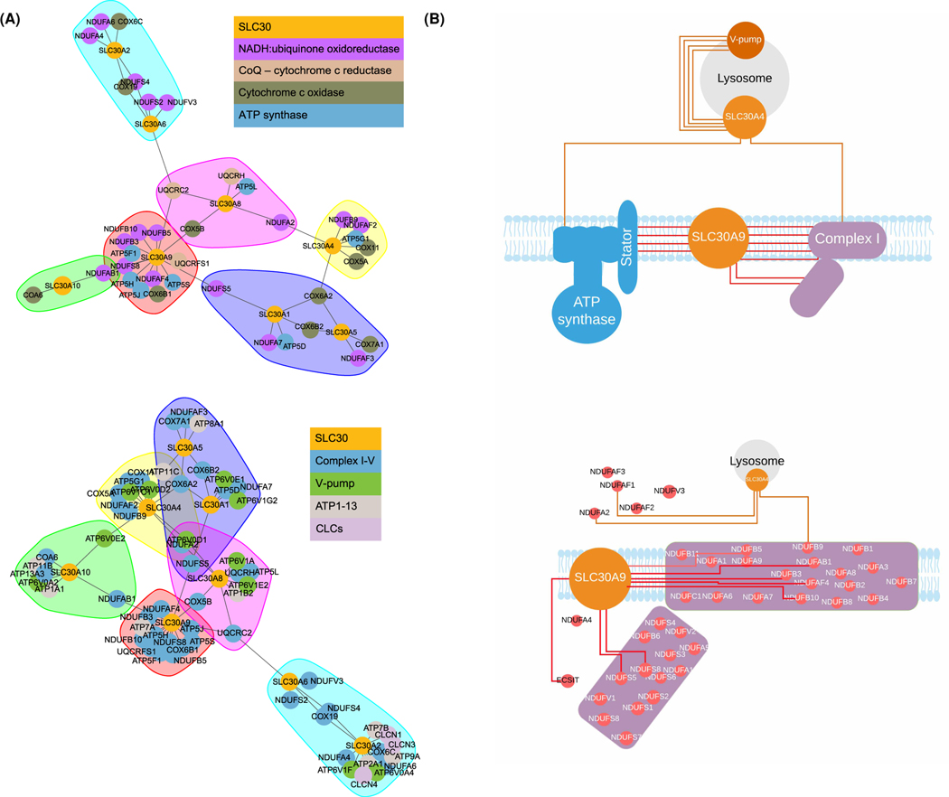 Figure 4.