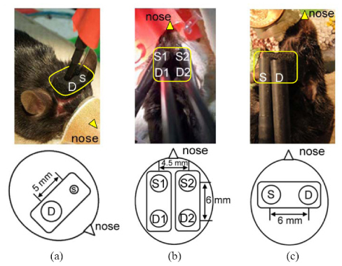 Fig. 2