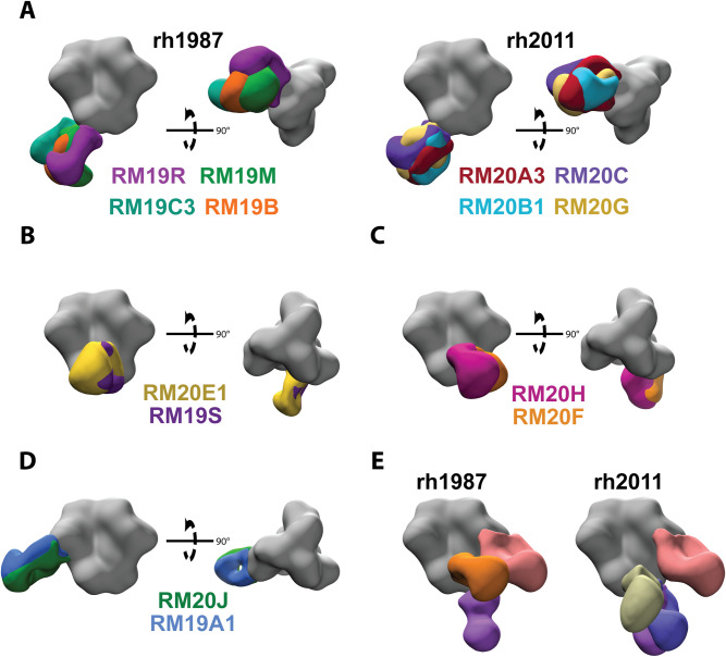 Fig 2