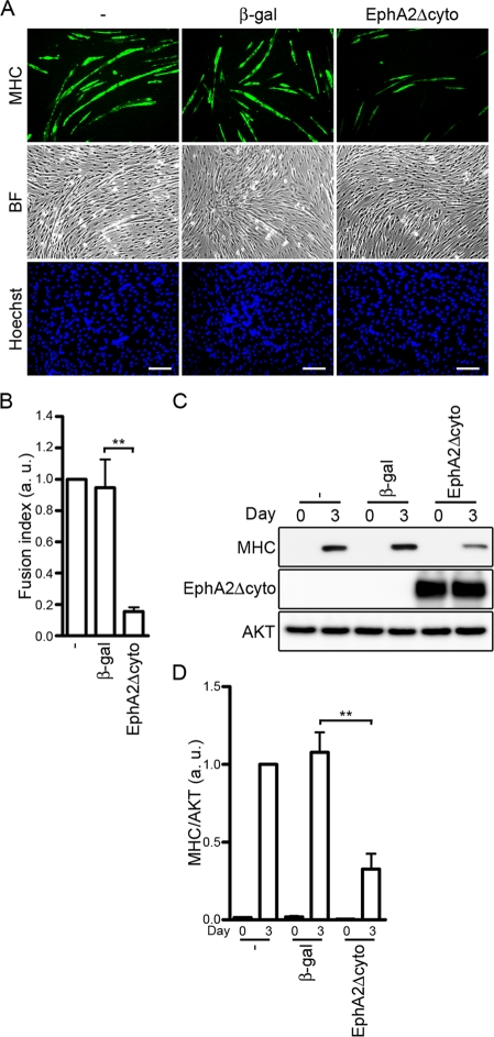 FIGURE 7: