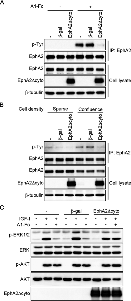 FIGURE 6: