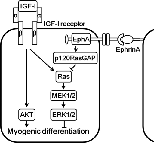 FIGURE 9: