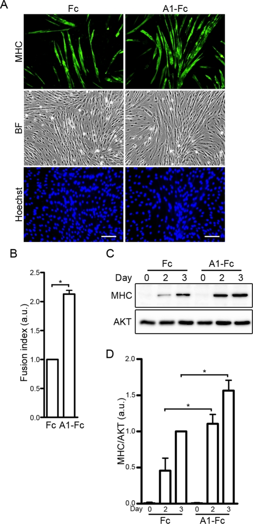 FIGURE 3: