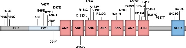 Figure 3.