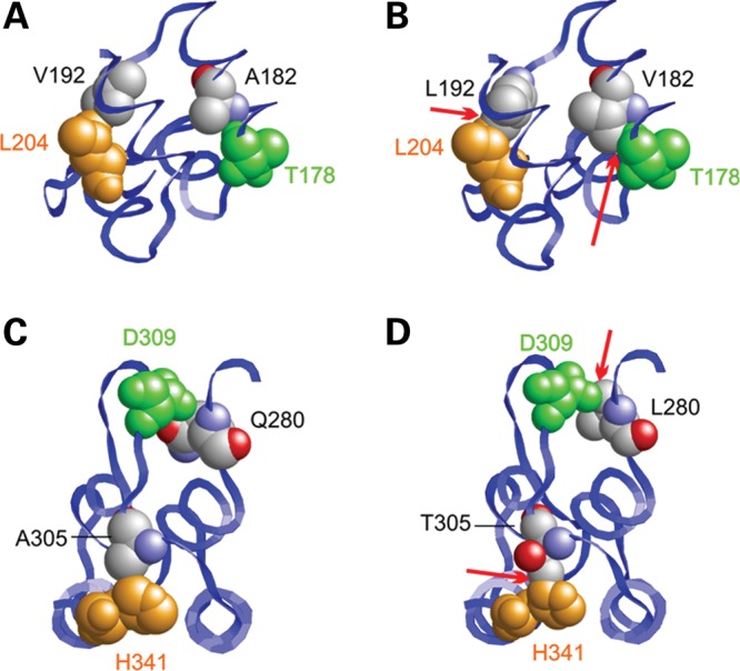 Figure 5.