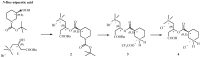 Scheme 1