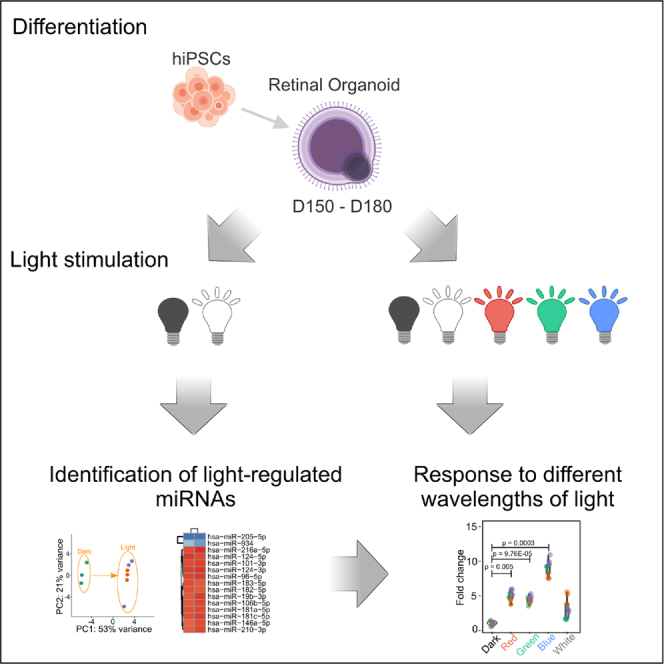 graphic file with name fx1.jpg