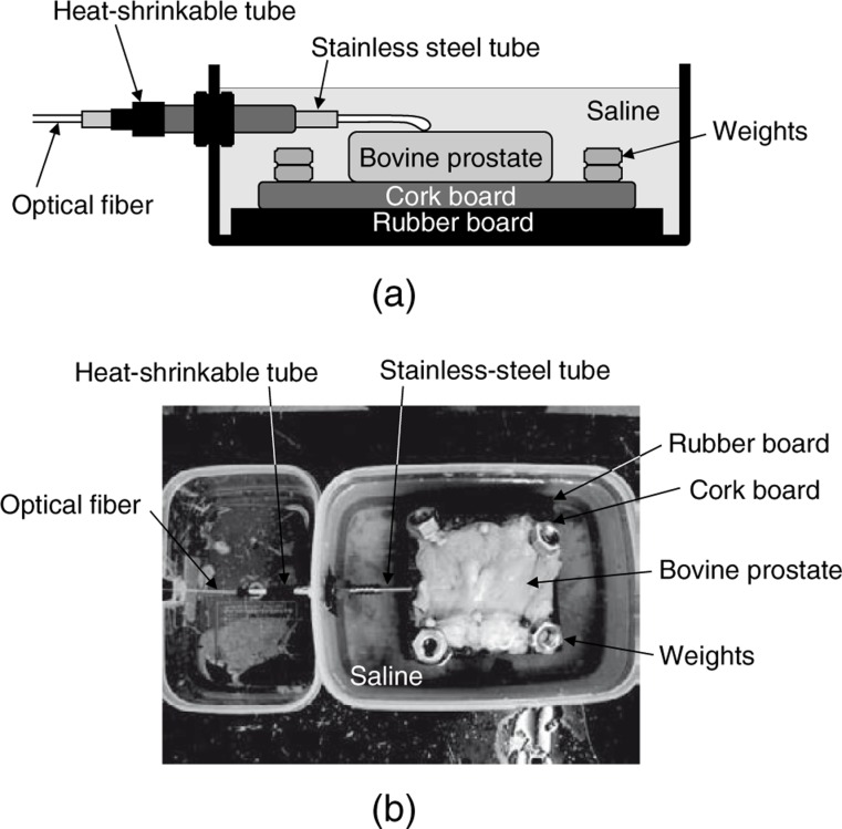 Fig. 3: