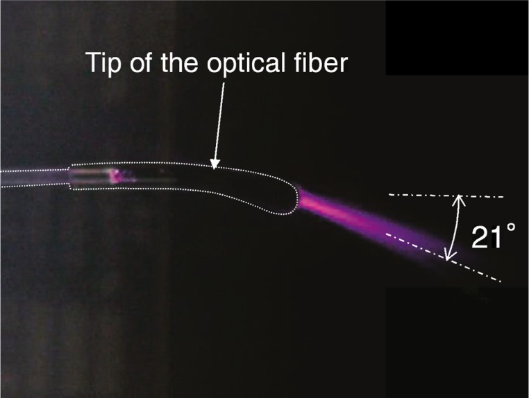 Fig. 2: