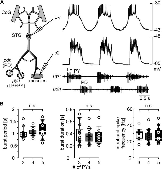 Figure 5.