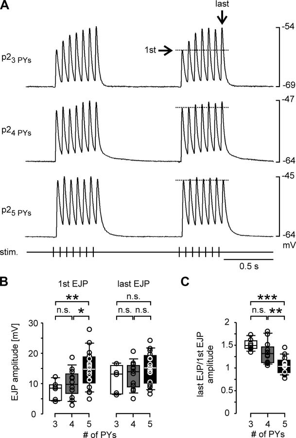 Figure 7.