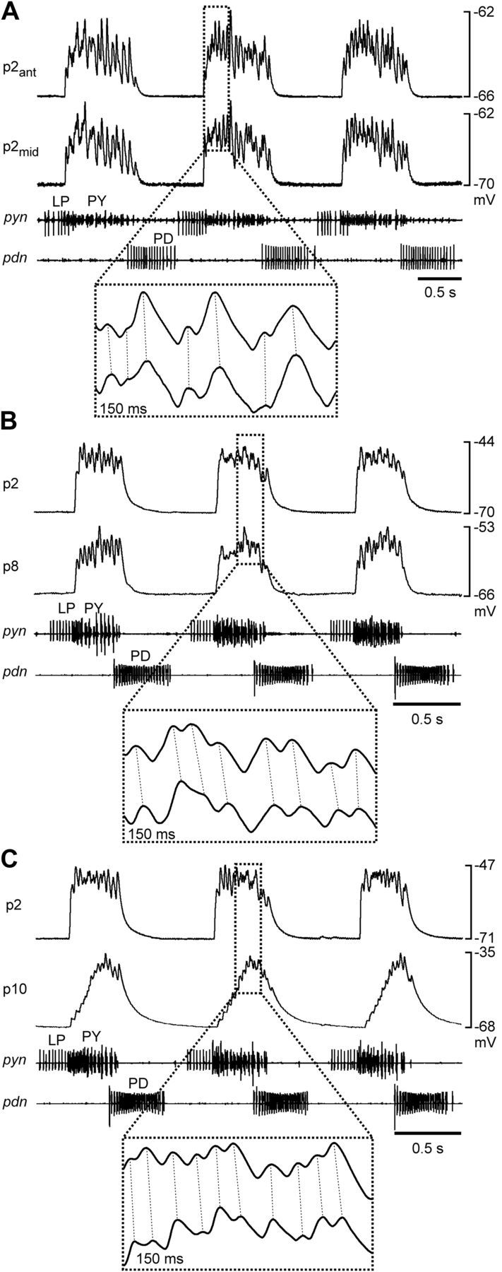 Figure 2.