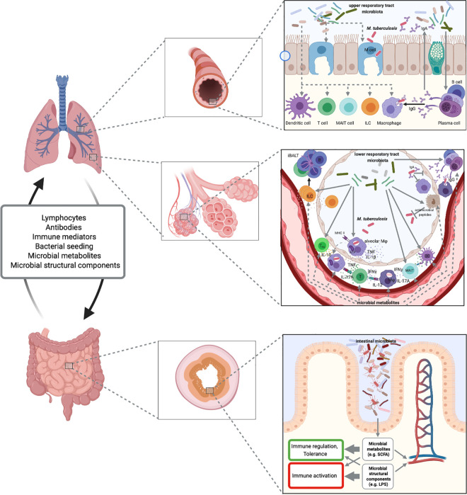 Fig 3